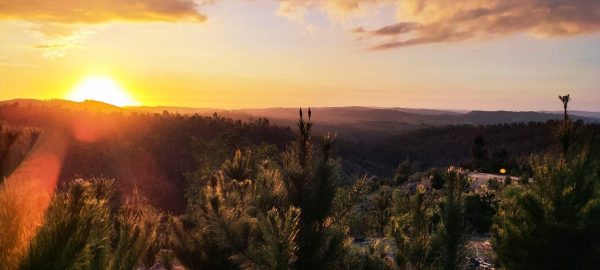 BOSQUES DE PAREDONES - Imagen 4