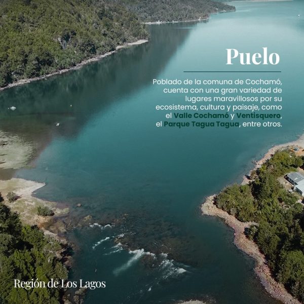 VIVE PUELO - Imagen 8