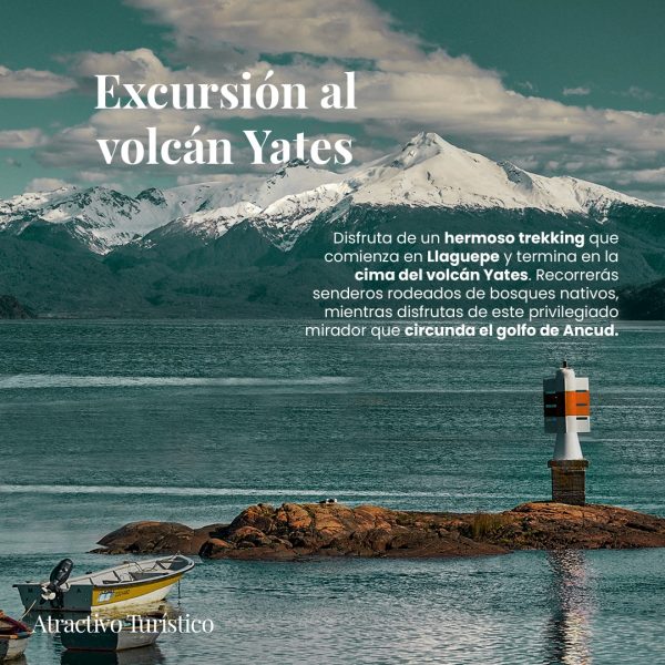 VIVE PUELO - Imagen 9