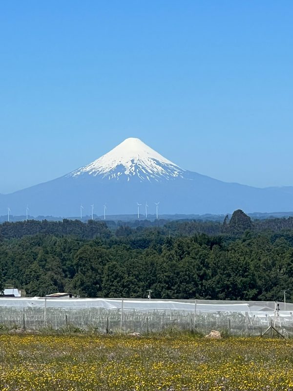 Alta Vista Frutillar - Imagen 10
