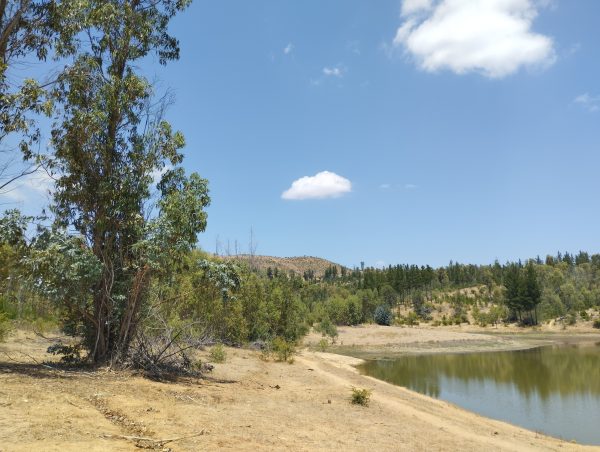 Viñas de Cauquenes - Imagen 9
