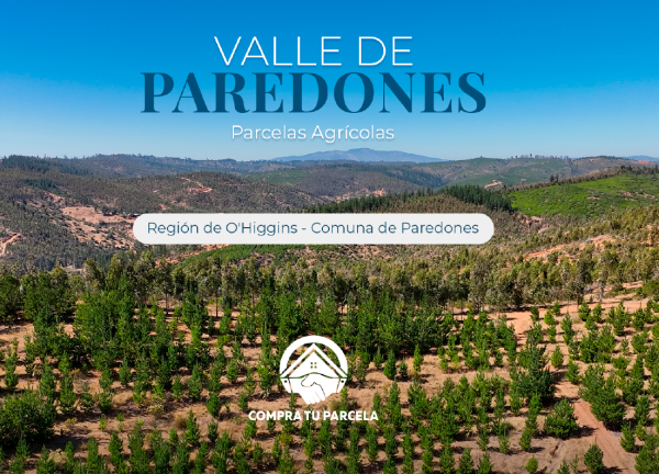 PARCELAS  A 10 MINUTOS DE SAN PEDRO DE ALCANTARA  6 Región  3.990.000