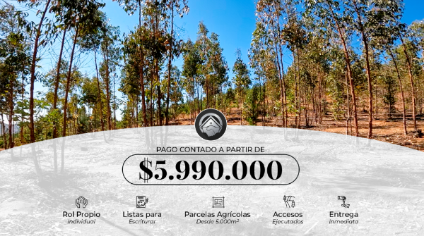 PARCELAS  A 10 MINUTOS DE SAN PEDRO DE ALCANTARA  6 Región  3.990.000 - Imagen 4